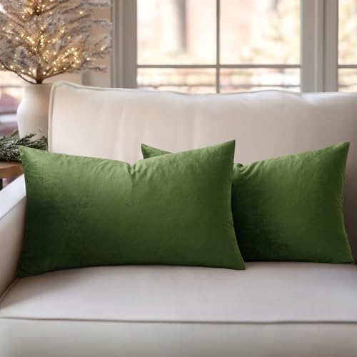 Slozzi 2er Set Samt Kissenbezüge Haushalt Dekokissen Dekorative Kissenhülle Weich Sofakissen für Sofa Schlafzimmer Wohnzimmer 30x50 cm Matcha Grün von Slozzi