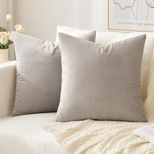 Slozzi 2er Set Samt Kissenbezüge Haushalt Dekokissen Dekorative Kissenhülle Weich Sofakissen für Sofa Schlafzimmer Wohnzimmer 40x40 cm Heart Wood von Slozzi