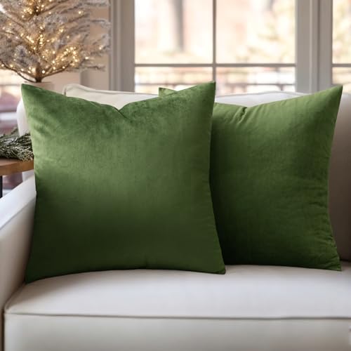 Slozzi 2er Set Samt Kissenbezüge Haushalt Dekokissen Dekorative Kissenhülle Weich Sofakissen für Sofa Schlafzimmer Wohnzimmer 40x40 cm Matcha Grün von Slozzi