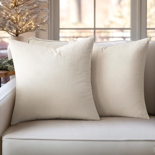 Slozzi 2er Set Samt Kissenbezüge Haushalt Dekokissen Dekorative Kissenhülle Weich Sofakissen für Sofa Schlafzimmer Wohnzimmer 45x45 cm Creme Weiß von Slozzi