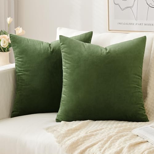 Slozzi 2er Set Samt Kissenbezüge Haushalt Dekokissen Dekorative Kissenhülle Weich Sofakissen für Sofa Schlafzimmer Wohnzimmer 45x45 cm Matcha Grün von Slozzi