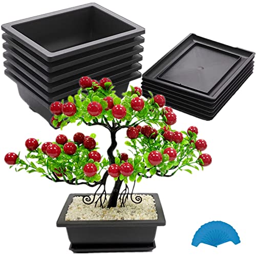 Kunststoff Bonsai Trainingstöpfe 6 Stücke 16cm mit Tabletts und Pflanzenetikett Rechteck Blumentopf Innen- oder Garten Pflanzgefäß Behälter Langlebige Pflanzen Wachsende Töpfe(Enthält keine Pflanzen) von SmaUnicorn