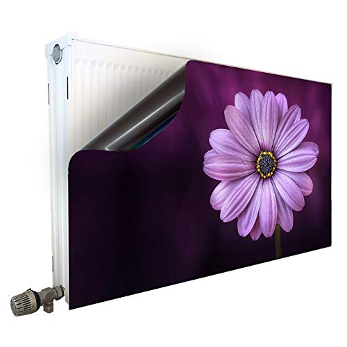 Smagnon Magnet Heizkörperverkleidung Heizkörperabdeckung Heizung Schutz Motiv Lila, Heizkörper Höhe:60 cm, Heizkörper Länge:70 cm Smagnon Magnet Heizkörperverkleidung Heizkörperabdeckung Heizung Schutz Motiv Lila, Heizkörper Höhe:60 cm, Heizkörper Länge:70 cm von Smagnon