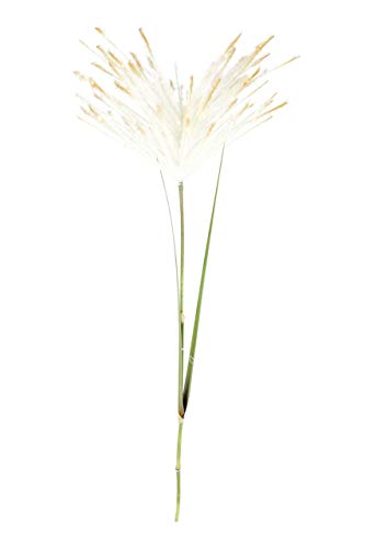 Small-Preis Kunstblumen Foam Blumen Schaumblüte künstliche Deko Blumen in verschiedenen Größen und Farben (Gras) von Small-Preis