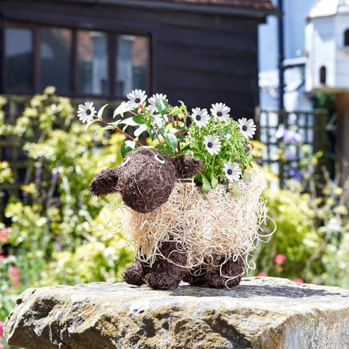 Smart Garden Shelley Sheep Rustikaler Rattan-Übertopf für den Garten von Smart Garden