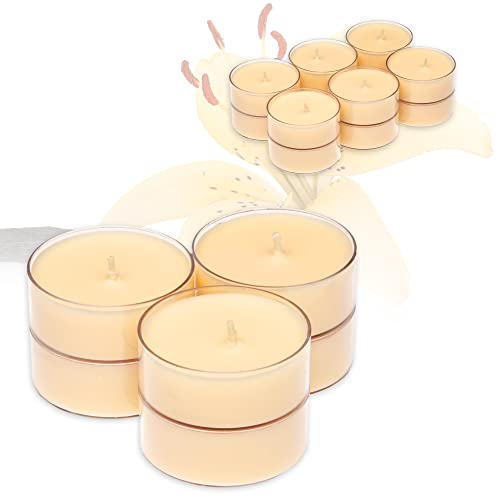 Smart-Planet 12er Set XXL Duft Kerzen Ambiente - Duftteelichter Vanille - Jumbo Teelicht in Kunststoff Hülle - 8 Std Brenndauer - Große Teelichter in Beige von Smart-Planet