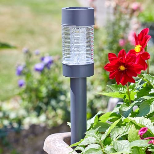 BALIZA Martini 365 SOLAR 10L von Smart Solar