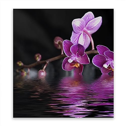 SMTDeco Herdabdeckplatte 60×65 cm – Mehr Arbeitsfläche, Spritzschutz & Schneidebrett – ESG Glas, kratzfest – für Induktion/Ceranfeld – 1-teilig, Motiv Blumen Schwarz von SmartDecoration