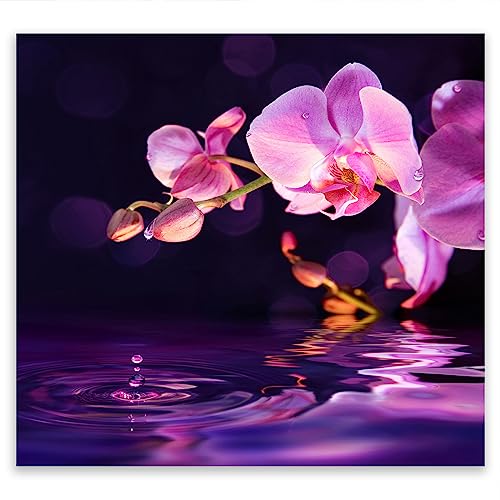 SmartDecoration Herdabdeckplatte Ceranfeldabdeckung aus Glas 50x52 cm Einteilig Motiv "Blumen" Schwarz (102834) von SmartDecoration