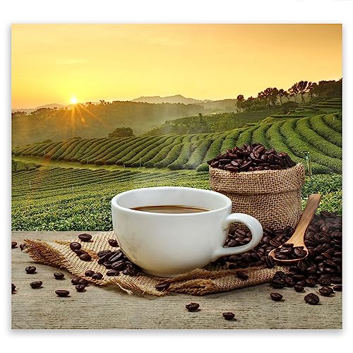 SmartDecoration Herdabdeckplatte Ceranfeldabdeckung aus Glas 50x52 cm Einteilig Motiv "Kaffee" Grün (102824) von SmartDecoration