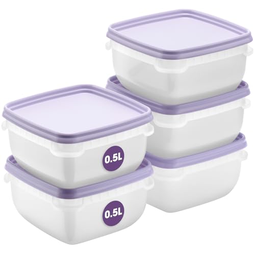 SmartStore Frischhaltedosen mit Deckel und Kühlschrank Organizer 0.5L 5er Set | Geeignet für Kühlschrank und Gefrierschrank | BPA freie meal prep boxen | Gefrierbox Set von SmartStore