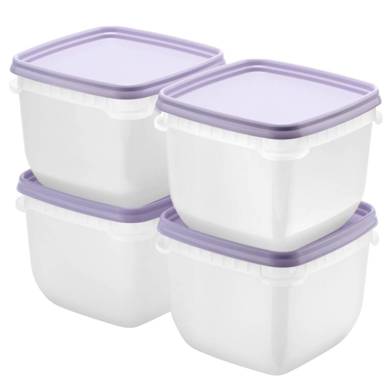 SmartStore Gefrierdose Frost 0,75 l Lavendel 4 Stück von SmartStore