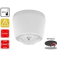 10 Jahres Mini Hitzemelder mit Magnethalter, optimal für Küche oder Badezimmer von Smartwares