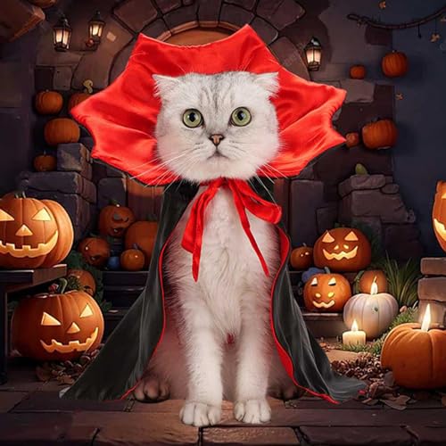 Hund Halloween Kostüme,Smavles Haustier Halloween Kostüm Katze Zauberer Hut für Halloween Haustier Kostüm, Haustier Hund Kostüm für Welpen Cosplay Halloween Party Dekorationen von Smavles