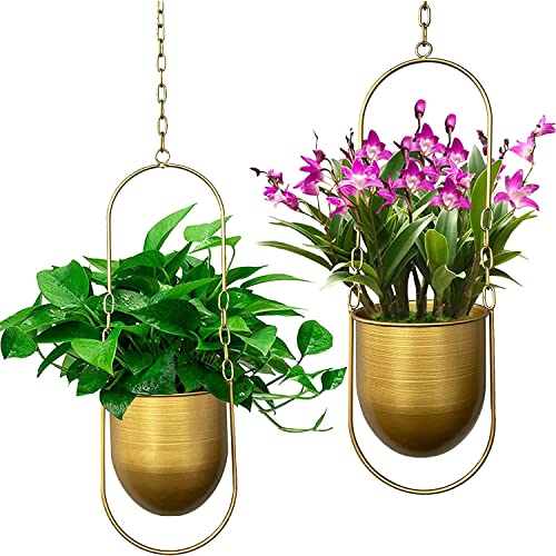 Smaxcn Hängender Pflanzenaufhänger，2er Set Boho Hänge Pflanzgefäß,Moderne Wand und Deckenpflanzer Blumentopfhalter für Sukkulenten, Kräuter, kleine Pflanzen ，Luftpflanzen (Gold) von Smaxcn