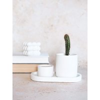Pflanztopf Aus Beton/Sukkulententopf Zimmerpflanzentopf Wohnkultur Geschenk Moderne Vase von SmellslikehomeStore