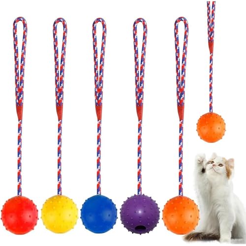 5 Stück Wurfball Hund Hundespielzeug, Ball mit Seil Naturkautschuk Ball, Ball mit Schnur Hund, Hundeball mit Schnur, Wurfball Hund für Große, Kleine Hunde Weite Würfe Fangen Fangen und Ziehen 5 Stück Wurfball Hund Hundespielzeug, Ball mit Seil Naturkautschuk Ball, Ball mit Schnur Hund, Hundeball mit Schnur, Wurfball Hund für Große, Kleine Hunde Weite Würfe Fangen Fangen und Ziehen von Smilbaley
