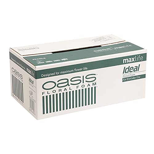 Oasis Ideal Frischblumen-Steckschaum Maxlife, 20 Ziegel von Falcon Workshop Supplies Ltd