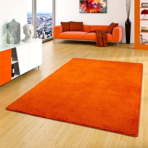 Palace Hochflor Shaggy Teppich Orange in 24 Größen von Snapstyle