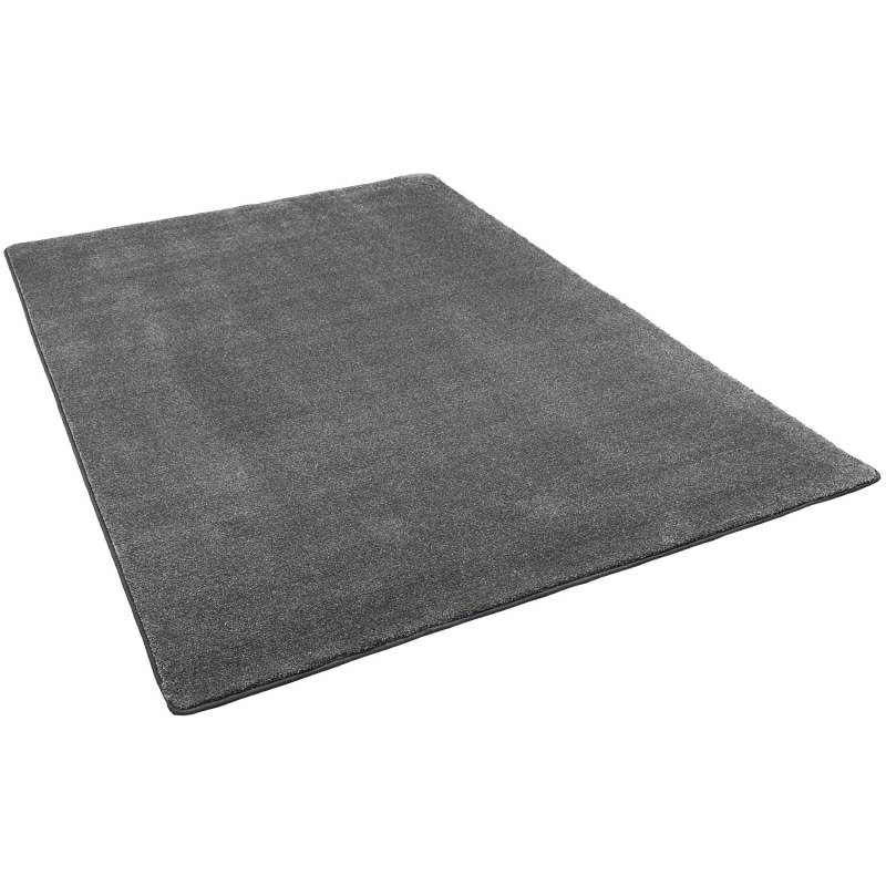 Snapstyle Hochflor Luxus Velours Teppich Touch Anthrazit 200x300cm von Snapstyle