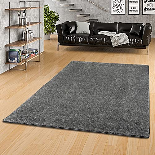 Snapstyle Hochflor Luxus Velours Teppich Touch Anthrazit in 24 Größen von Snapstyle