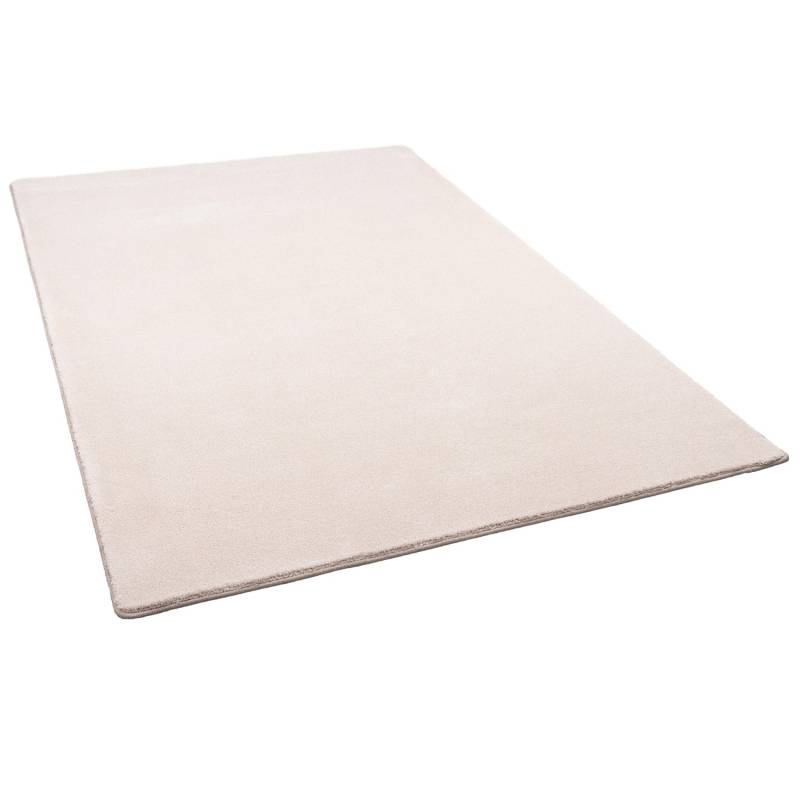 Snapstyle Hochflor Luxus Velours Teppich Touch Beige 200x300cm von Snapstyle