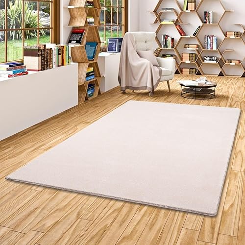 Snapstyle Hochflor Luxus Velours Teppich Touch Beige in 24 Größen von Snapstyle