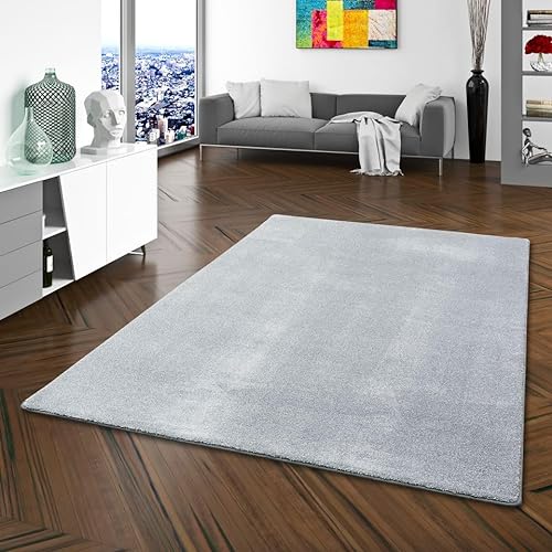 Snapstyle Hochflor Luxus Velours Teppich Touch Grau in 24 Größen von Snapstyle