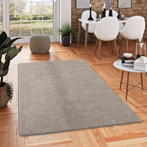 Snapstyle Hochflor Luxus Velours Teppich Touch Taupe in 24 Größen von Snapstyle