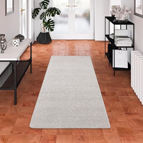 Snapstyle Hochflor Teppich Läufer Einfarbig Pflegeleicht Weich Cottage Silbergrau in 9 Größen Snapstyle Hochflor Teppich Läufer Einfarbig Pflegeleicht Weich Cottage Silbergrau in 9 Größen von Snapstyle
