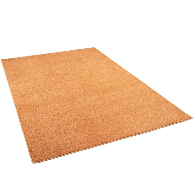 Snapstyle Hochflor Velours Teppich Luna Terrakotta 160x200cm von Snapstyle
