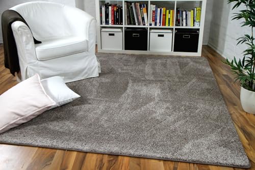 Snapstyle Hochflor Velours Teppich Mona Taupe in 24 Größen von Snapstyle