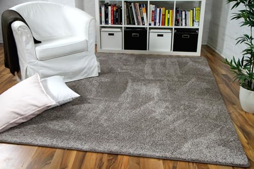 Snapstyle Hochflor Velours Teppich Mona Taupe in 24 Größen Snapstyle Hochflor Velours Teppich Mona Taupe in 24 Größen von Snapstyle