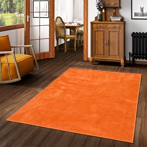 Snapstyle Luxus Super Soft Hochflor Langflor Teppich Deluxe Orange - Flauschig Weich für Wohnzimmer Schlafzimmer Kinderzimmer von Snapstyle