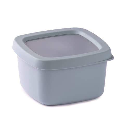 Snips | Aromabox | Mealprepboxen| Frischhaltedosen mit Deckel 0,50 L | Lebensmittelbehälter mit hermetischem Verschluss | 12 x 12 x 7 cm | Blau | Hergestellt in Italien von Snips