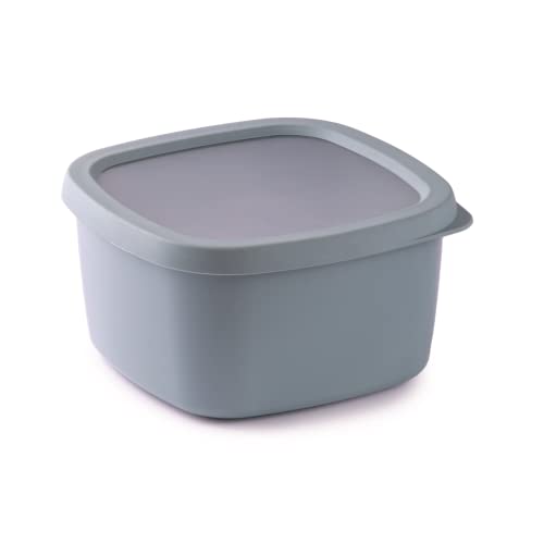 Snips | Aromabox | Mealprepboxen | Frischhaltedose mit Deckel 1,50 L | Lebensmittelbehälter mit hermetischem Verschluss | 17,5 x 17,55 x 10 cm | Blau | Hergestellt in Italien von Snips