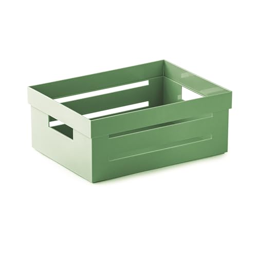 Snips Aufbewahrungsbehälter, Mehrzweck-Organizer, Mehrzweckbehälter, 2 LT, Grün Farbe, 20 x 15 x 8,5 cm, Made in Italy von Snips