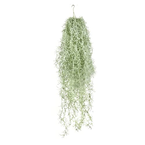 Snner Künstliches spanisches Moos Faux Hanging Greenery Moos 31.5 gefälschte Luftpflanze Sieht echt aus für Home Outdoor Dekoration Pack von 1 Grün von Snner