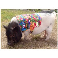 His & Hers Hawaii-Shirt13 Stoffmuster-Auswahl His & Hers Hawaii-Shirt13 Stoffmuster-Auswahl von SnortLife