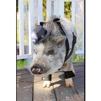 Oinktastic Zylinder von SnortLife