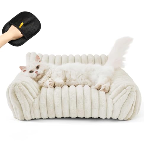 Snrtevu Haustiersofa Chaffar, Haustiersofa-Chaffar-Moderner-Stil-Cord-Design-Orthopadische-Matratze, Katzenbett Groß für GroßE, Mittlere und Kleine Hunde und Katzen (Weiß, S) von Snrtevu