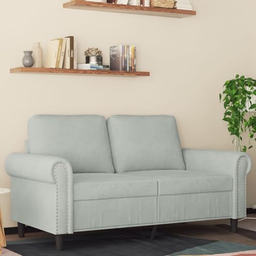 Snsowed 2-Sitzer-Sofa Hellgrau 120 cm Samt, Loungesofa, Sofas & Couches, Relaxsofa, Couch für Wohnzimmer - 359519 Snsowed 2-Sitzer-Sofa Hellgrau 120 cm Samt, Loungesofa, Sofas & Couches, Relaxsofa, Couch für Wohnzimmer - 359519 von Snsowed