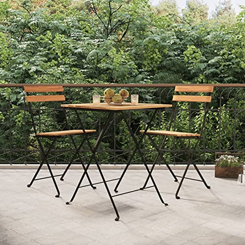 Snsowed Bistrostühle Klappbar 2 STK Gartenstühle, Balkonstuhl, Terrassenstühle, Gartensessel, Garten Stühle, Gartenmöbel, Balkon Stühle, Sessel Outdoor, Massivholz Teak und Stahl von Snsowed