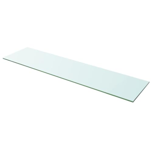 Snsowed Regalboden, Regalbrett, Bücherregal, Küchenregal, Regal Wand, Wandregal, Regal Wand, Glas Transparent 100 cm x 25 cm von Snsowed