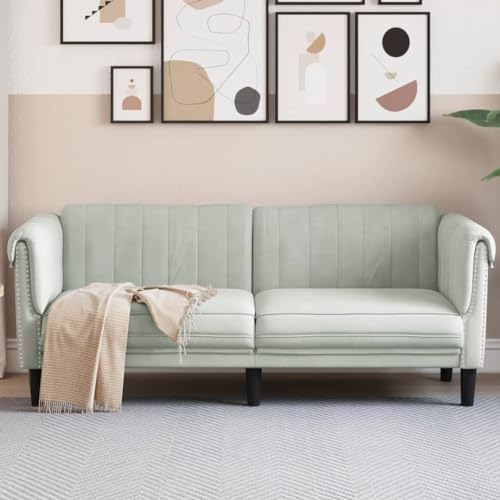 Snsowed Sofa 2-Sitzer Hellgrau Samt, Loungesofa, Sofas & Couches, Relaxsofa, Couch für Wohnzimmer, 372575 Snsowed Sofa 2-Sitzer Hellgrau Samt, Loungesofa, Sofas & Couches, Relaxsofa, Couch für Wohnzimmer, 372575 von Snsowed
