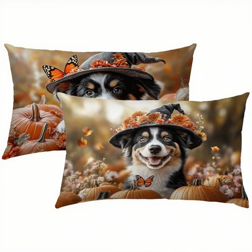 Hund Kissenbezug 50x80 Kissenbezug Fallen Samt 2er Set, Wasserdichter Kissenbezüge für Alle Jahreszeiten, Mode Flauschig Weich und Bügelfrei Pillow Cover, Deko für Wohnzimmer Sofa, Bett, Garten S1-444 von Snuysogx