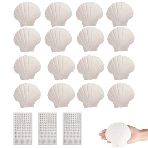 Snyvpra Muscheln Deko, 20 Stück Weiße Fächermuscheln mit 3 Perlenstickern, Ideal für DIY Handwerk und Heimdekoration, Größe 7cm x 6.7cm, Muscheln deko, jakobsmuschel Snyvpra Muscheln Deko, 20 Stück Weiße Fächermuscheln mit 3 Perlenstickern, Ideal für DIY Handwerk und Heimdekoration, Größe 7cm x 6.7cm, Muscheln deko, jakobsmuschel von Snyvpra