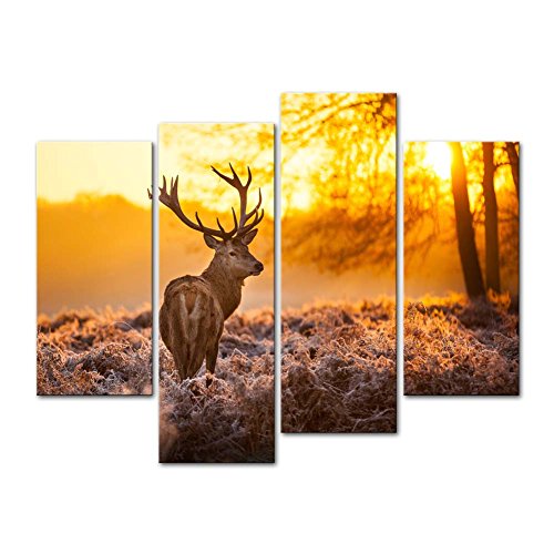 Leinwand Kunstdruck Art Wand Bild deer in Autumn Forest in Sunset Animal Wildlife 4 Gemälde Moderne Giclée-gespannt und gerahmt-Kunstwerken The Animal Bilder Foto Prints auf Leinwand von So Crazy Art