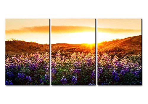 Leinwanddrucke mit Blumen-Landschaft der lila Lavendelfelder der Provence mit Sonnenaufgang und Sonnenschein, 3-teilig, moderne Kunst, Blumenbilder, Fotodrucke von So Crazy Art