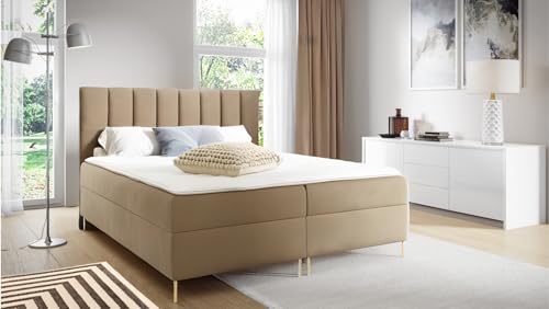 Sofello Boxspringbett NINA Karamell 180 x 200cm 2X Bettkasten Topper 5cm Gratis Beige Velour mit goldene Beine 12 cm Schlaffläche + 3 cm: 123/143/163/183/203 cm (200x200) von Sofello